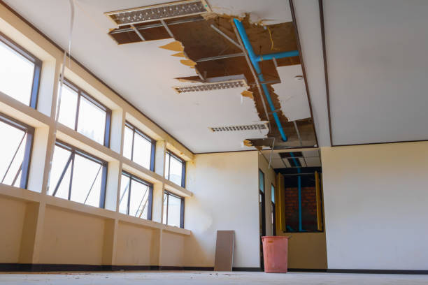 Best Sewage cleanup and water damage restoration  in Cedartown, GA