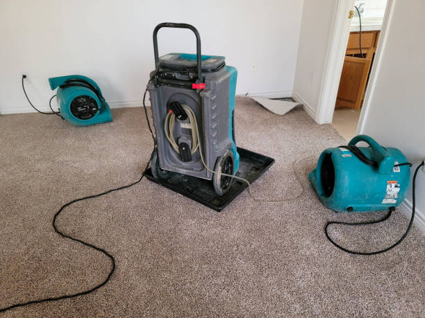 Best Fire Damage Restoration  in Cedartown, GA