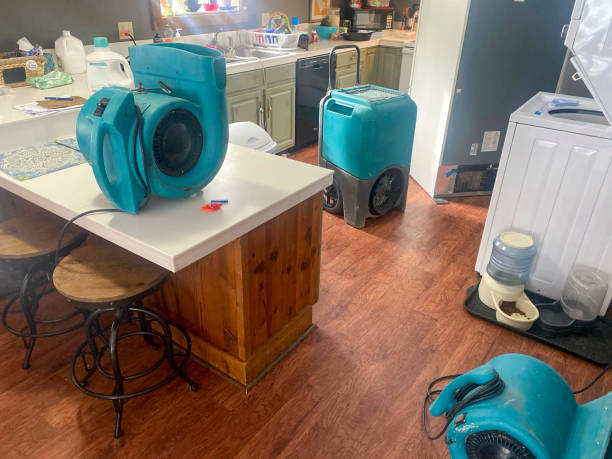 Best Water damage restoration company  in Cedartown, GA