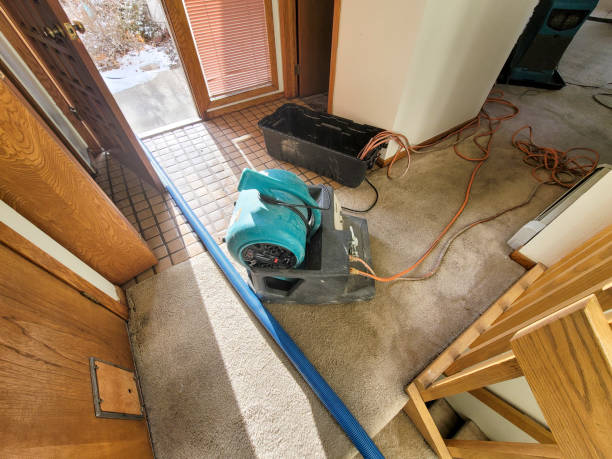Best Mold removal after water damage  in Cedartown, GA