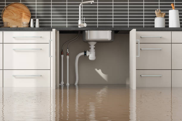 Best Flood restoration services  in Cedartown, GA