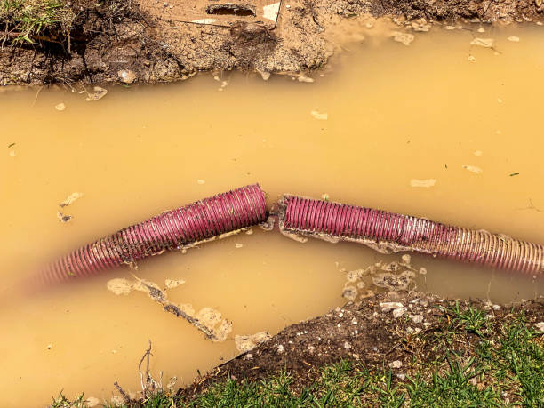 Best Flood damage cleanup  in Cedartown, GA