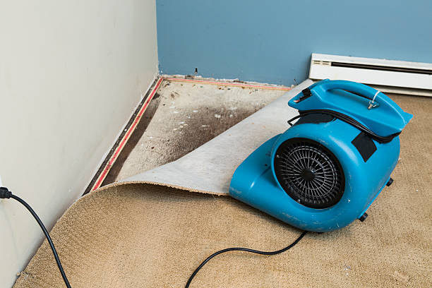 Best Carpet water damage restoration  in Cedartown, GA